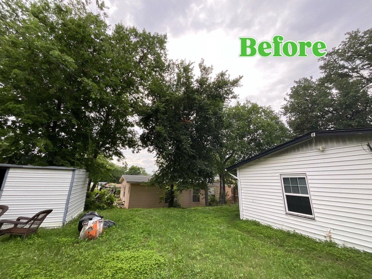 @Live Oak Tree Service
