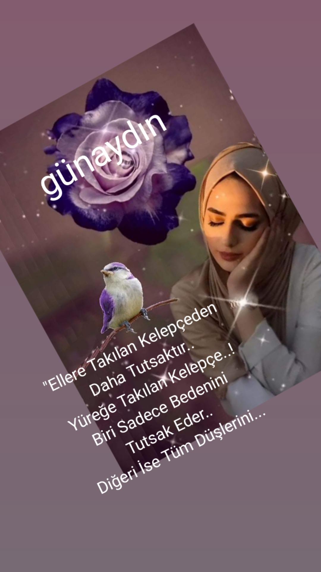 @BİR SERÇENİN GÖZYAŞ🕊️🕊️🕊️