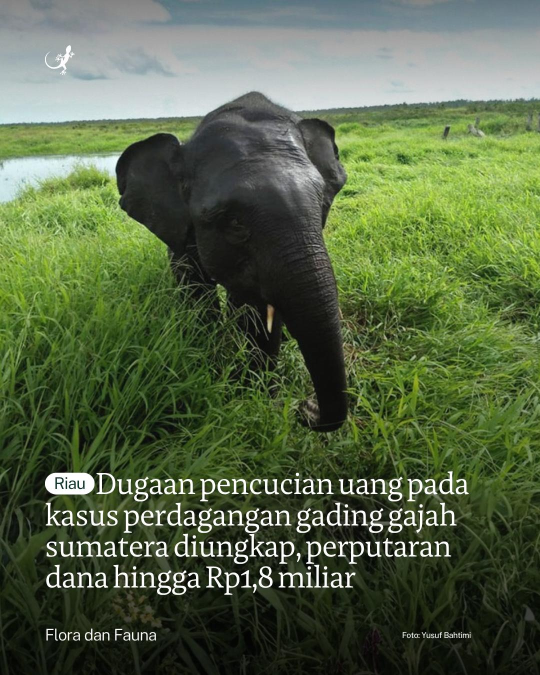 @mongabayindonesia