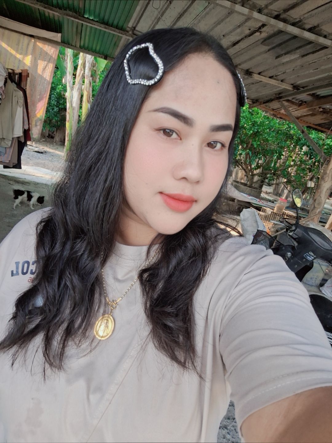 @🌸Am_2536🌸