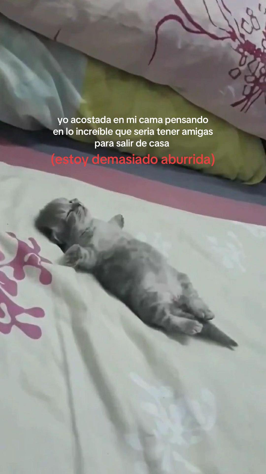 @secretaaaas