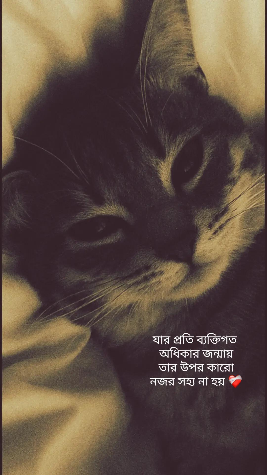 @Tamuuđ