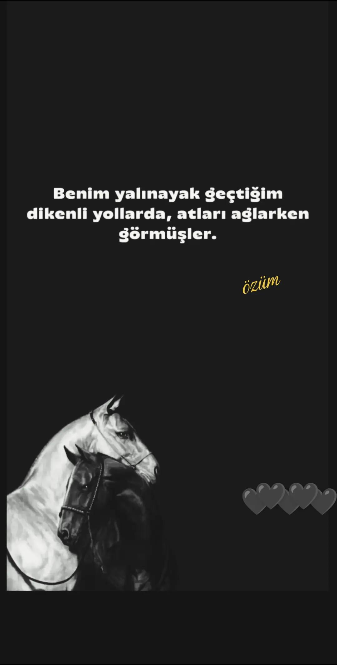 @❤️&Ouml;z&uuml;m İzmirli❤️