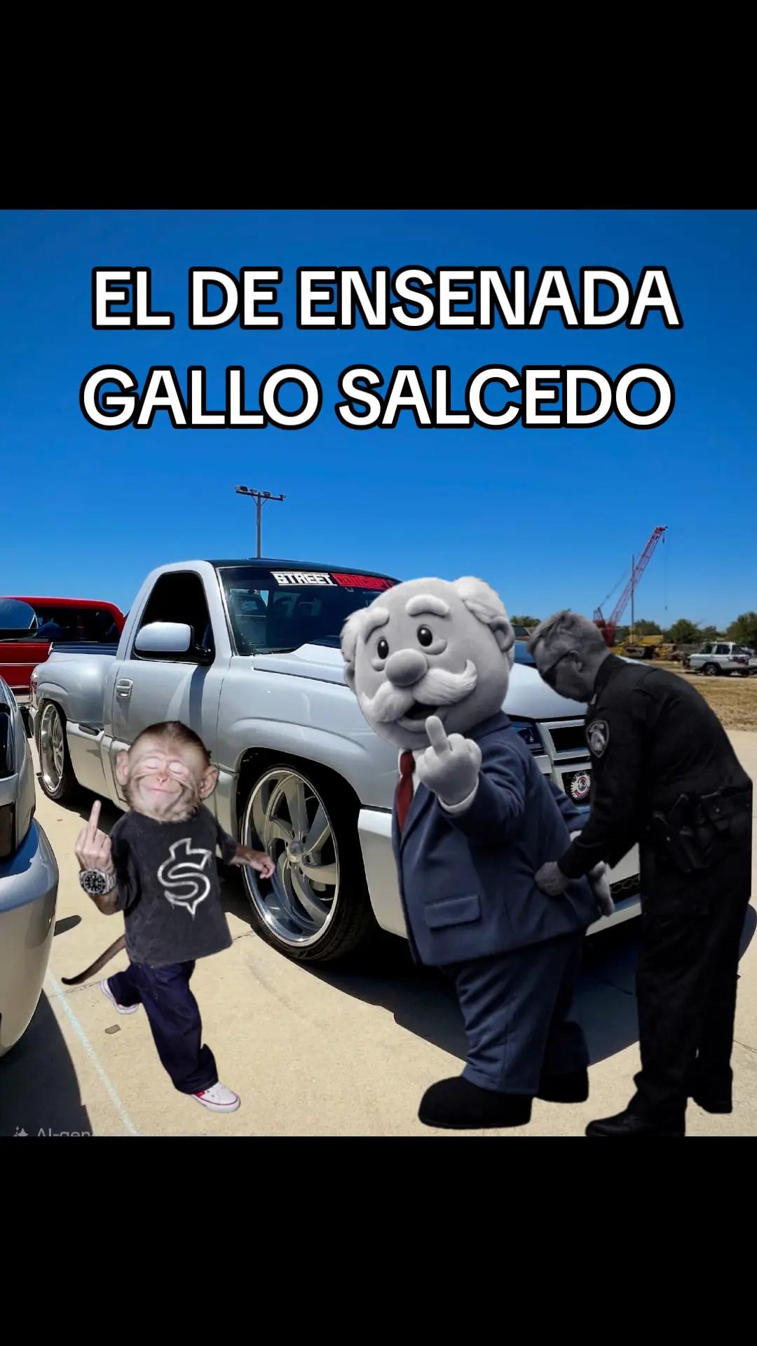 @EL Gallo Salcedo🇲🇽