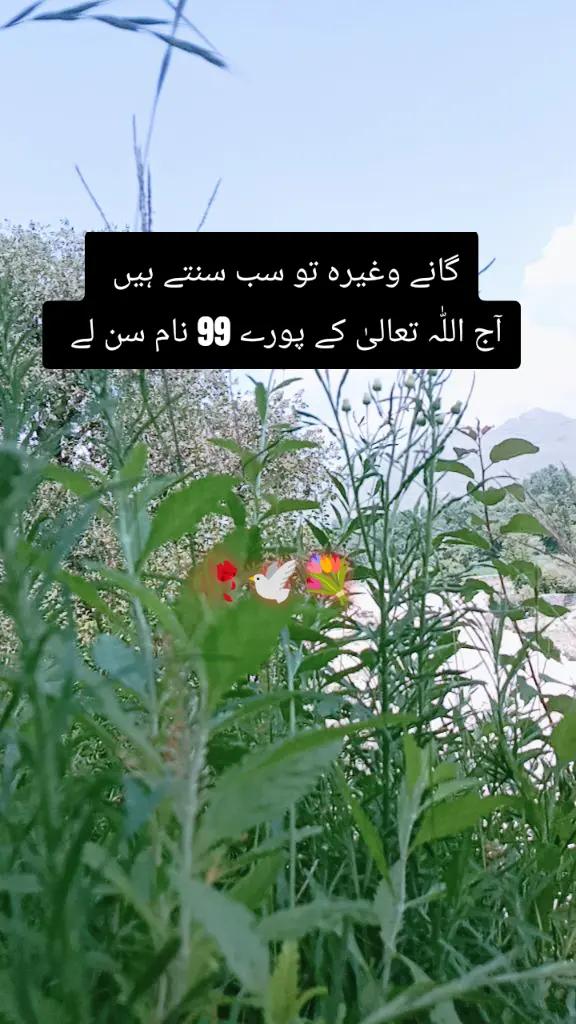 @✨Zahir_khan✨