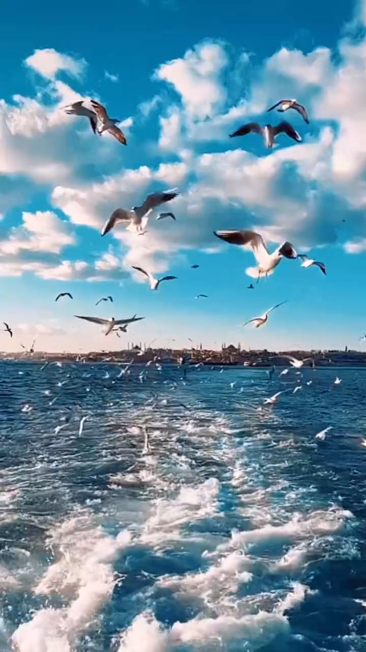 @👑Ирина👑