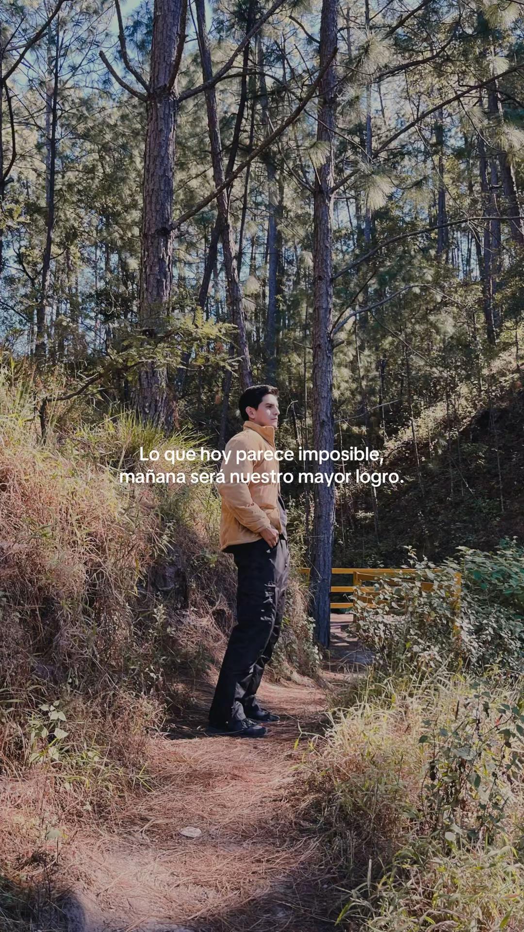 @Jesus Angulo