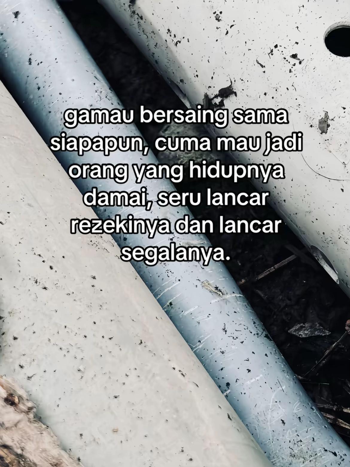 @alif_mdf