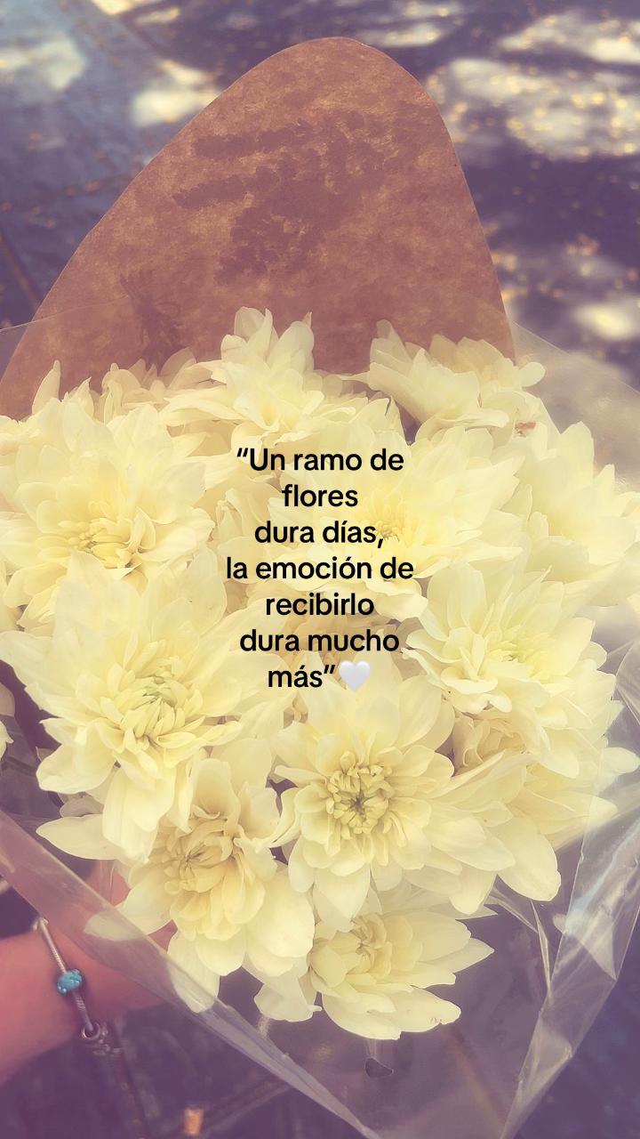 @aleejandraa.rp