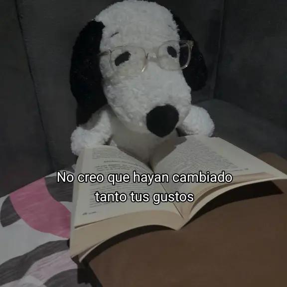 @snoopy 🎬