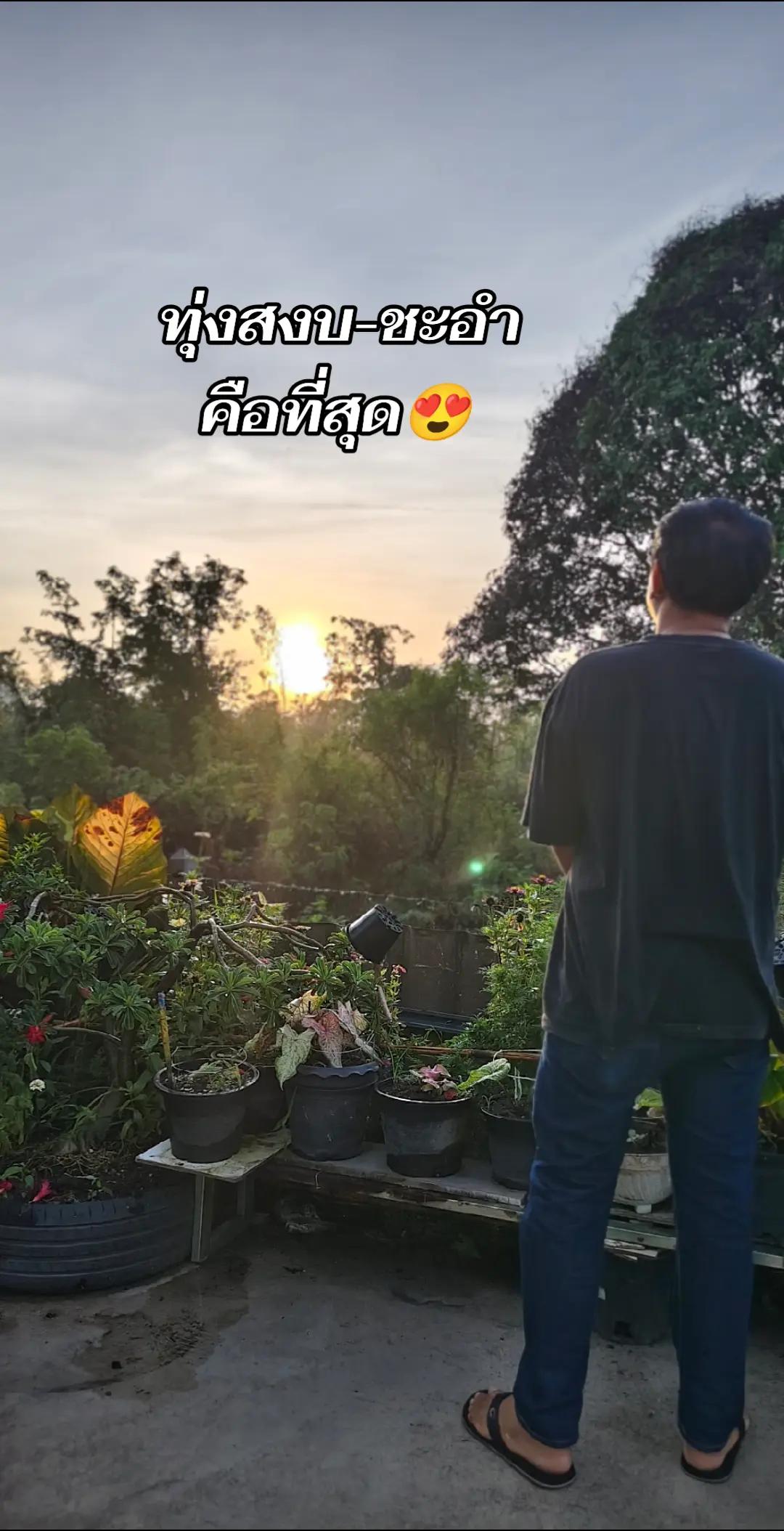 @น้อยทุ่งสงบนักเกมส์เมอร์สายกาก