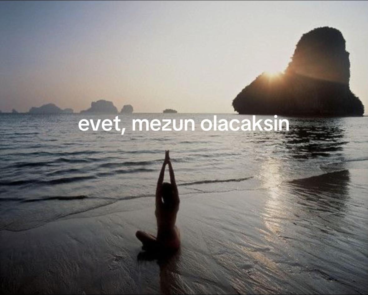 @avaia.jpg4