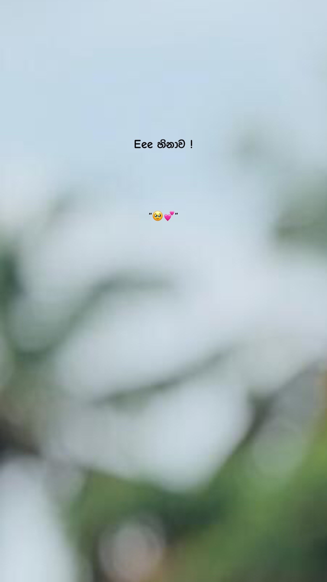 @Ꮪꪖꪀꪊ 👤”