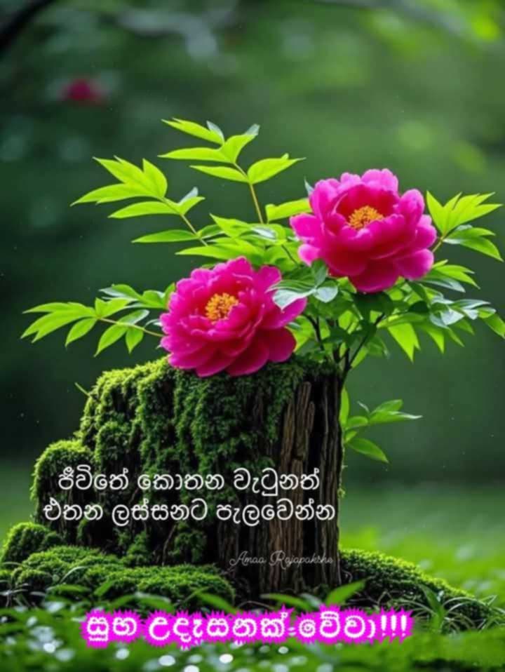 @prasanna