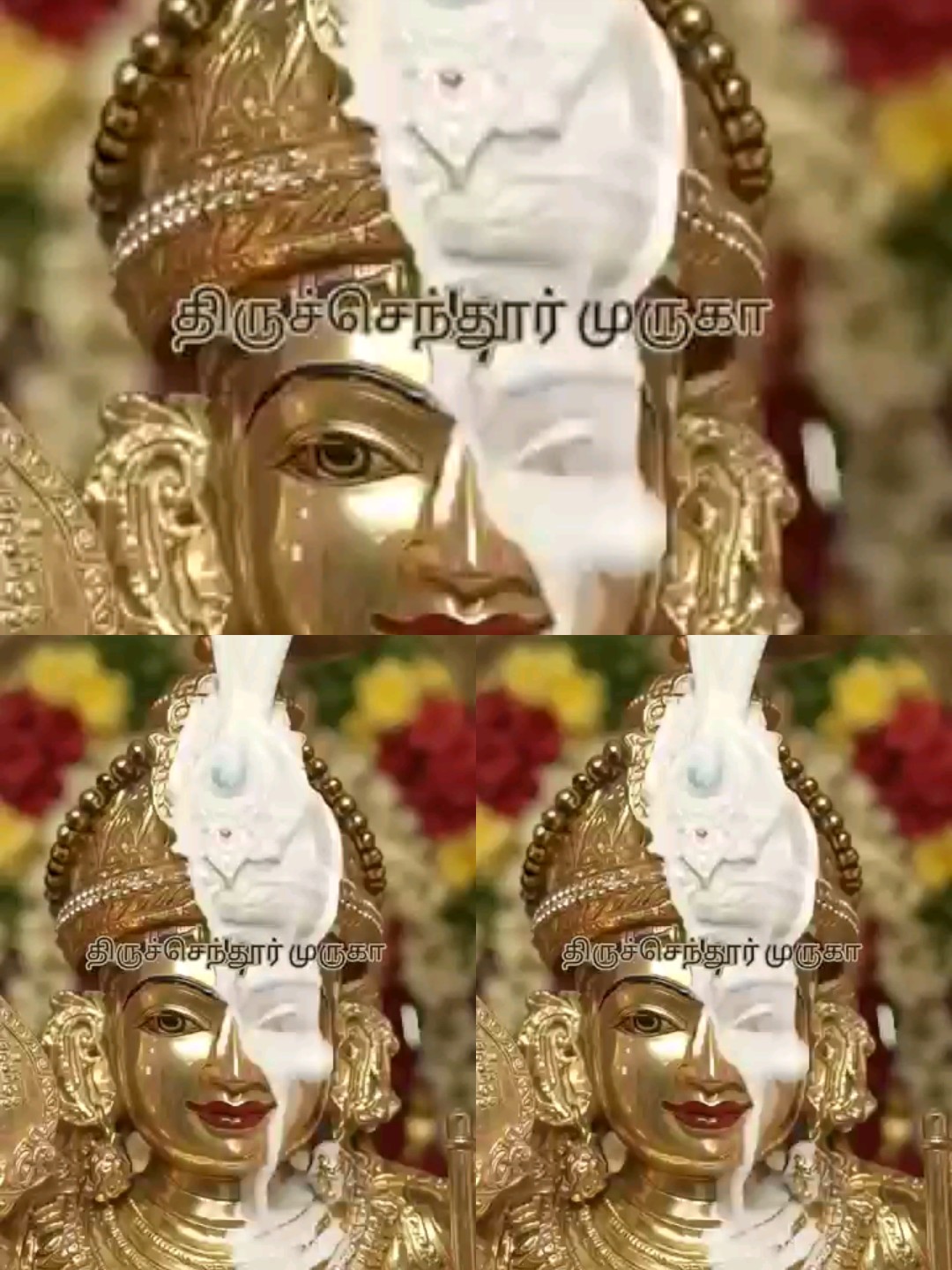 @sankarjaisankar