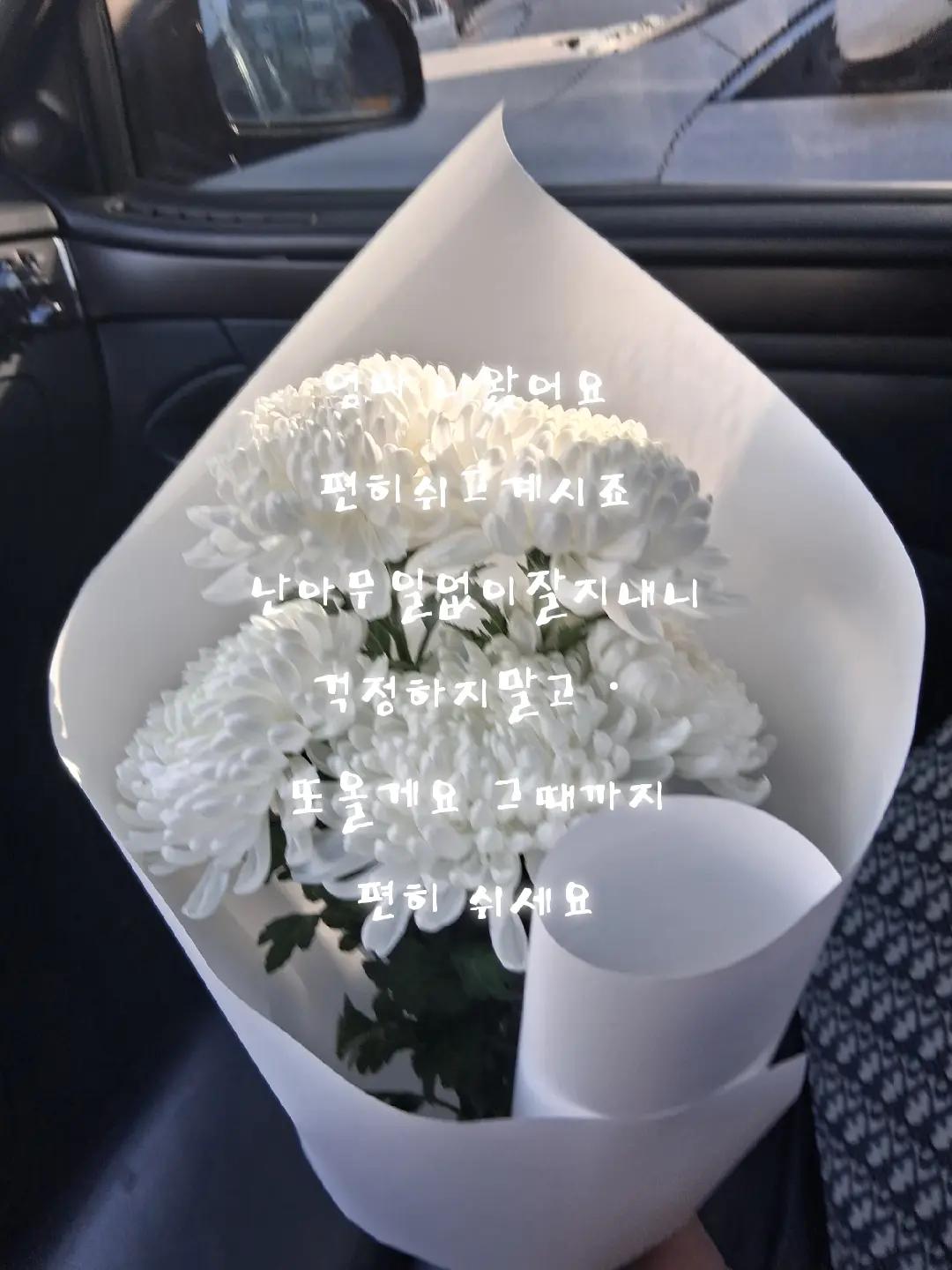 @장병호