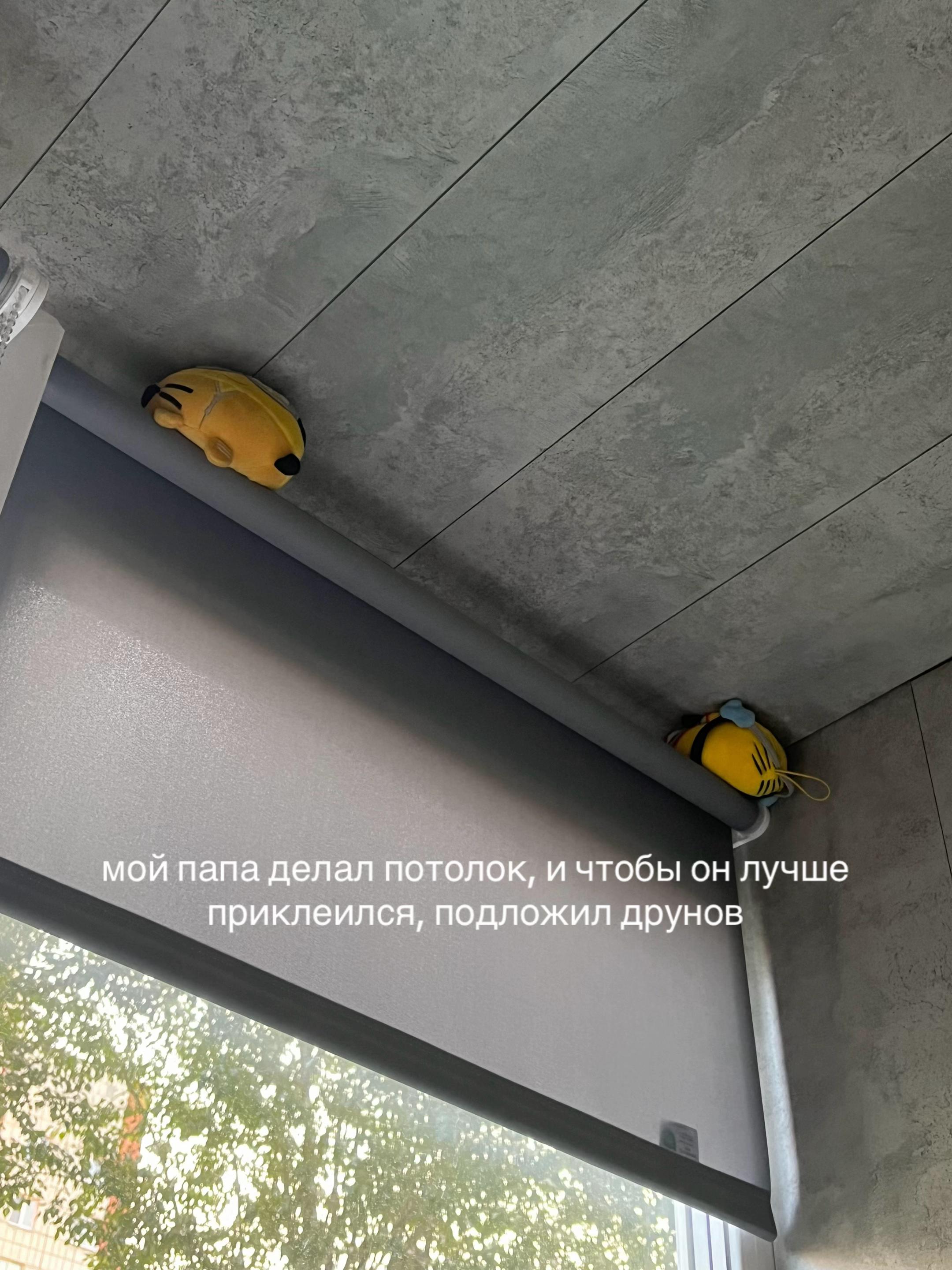 @бибина подъезд