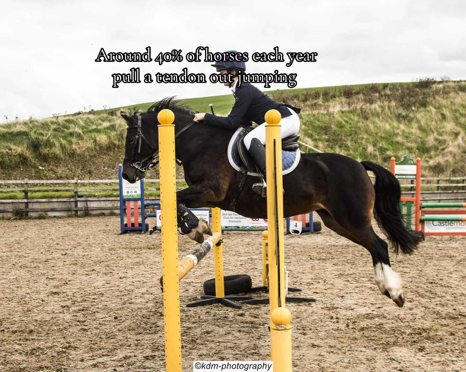 @amelia_showjumping2