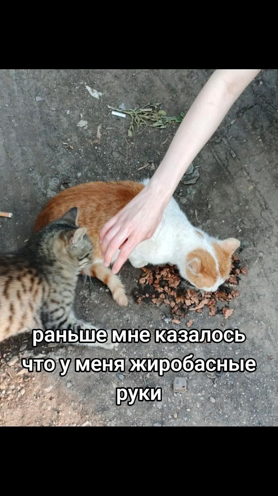 @лера кукэйчэк 🎄