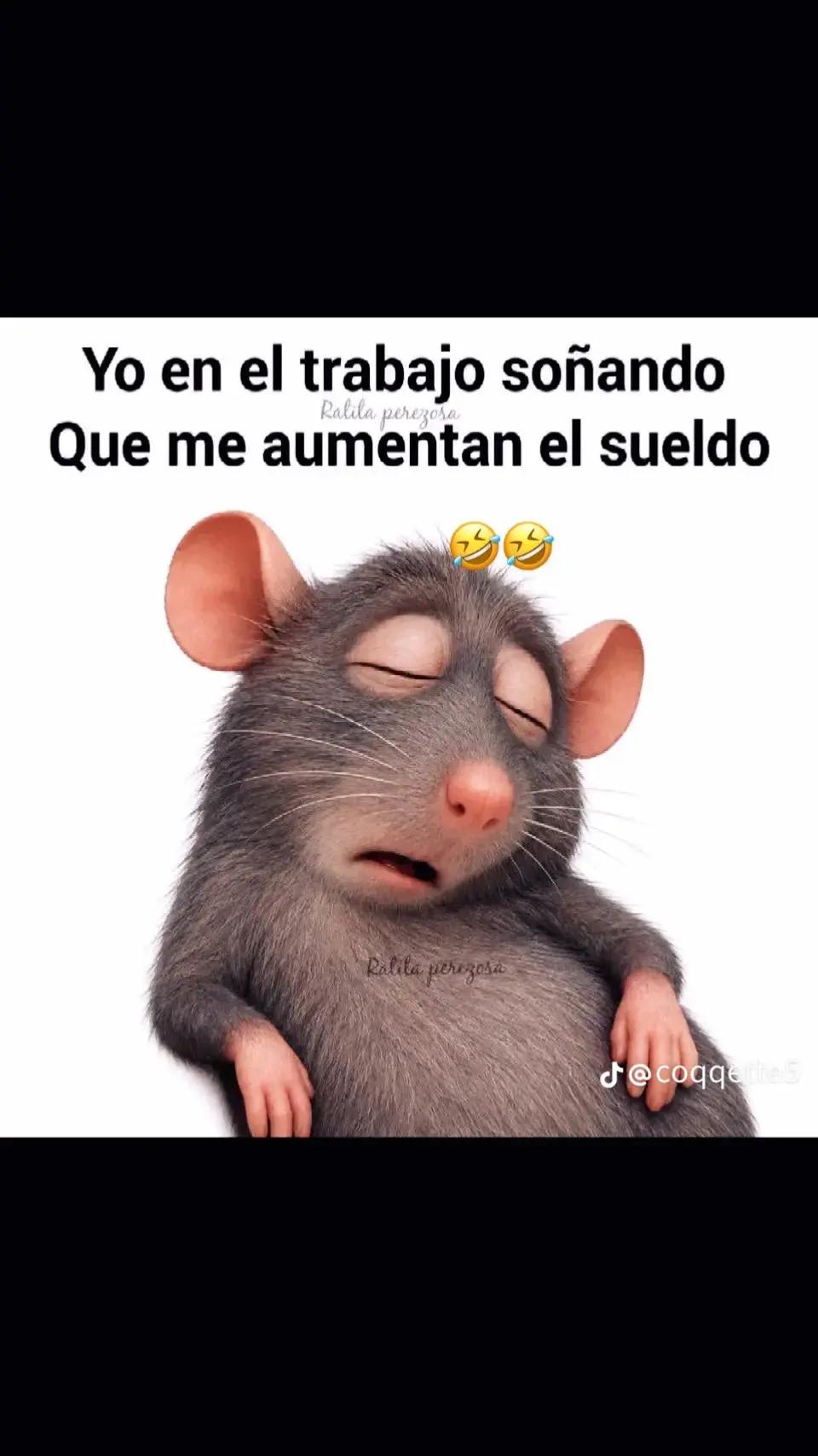 @corita💍❤️🇲🇽💯,,🌴