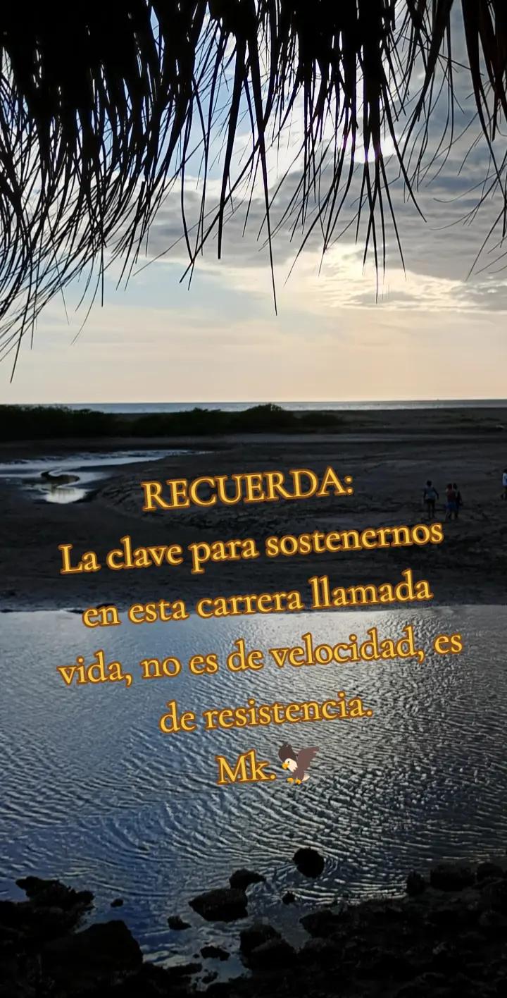@Machita. 🦅