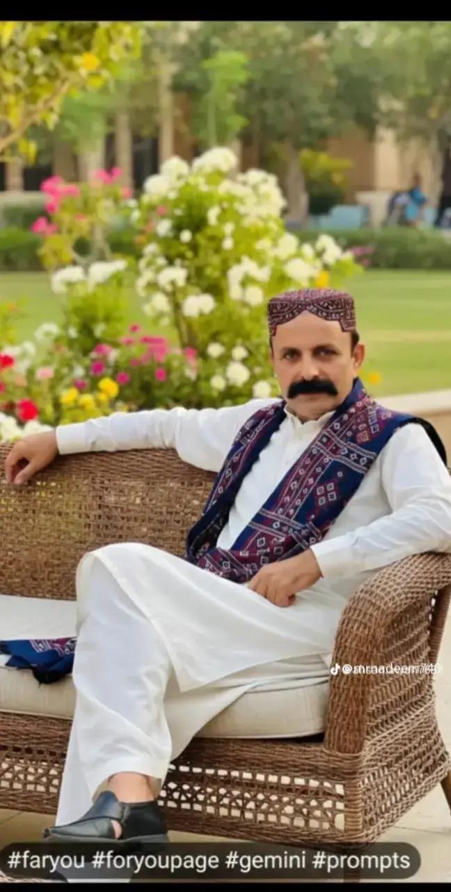 @AliRaza Awan