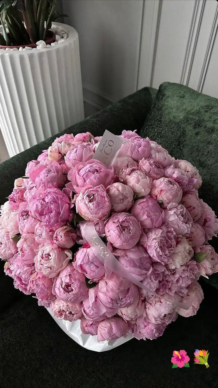 @💖