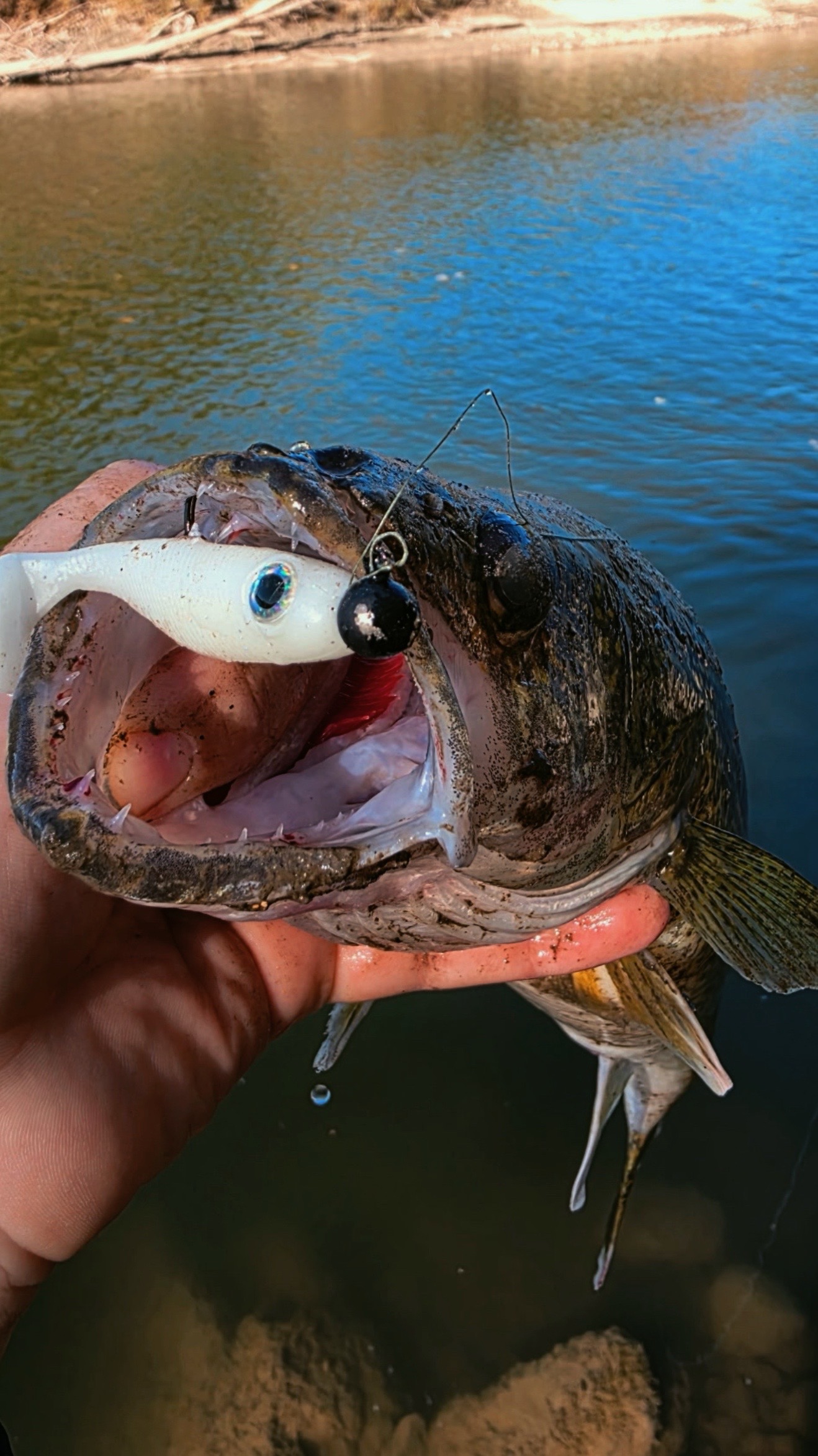 @Miko Lures LLC