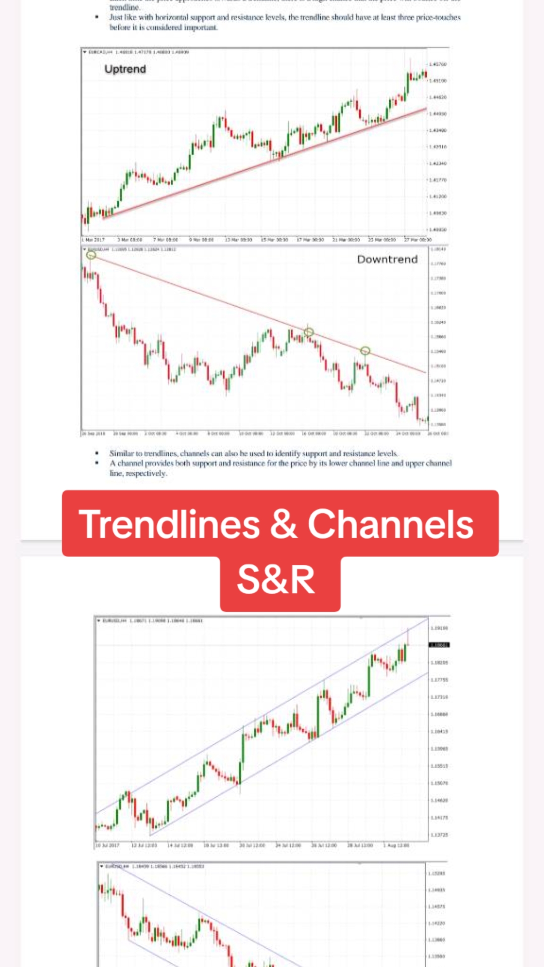 @TrendSurge