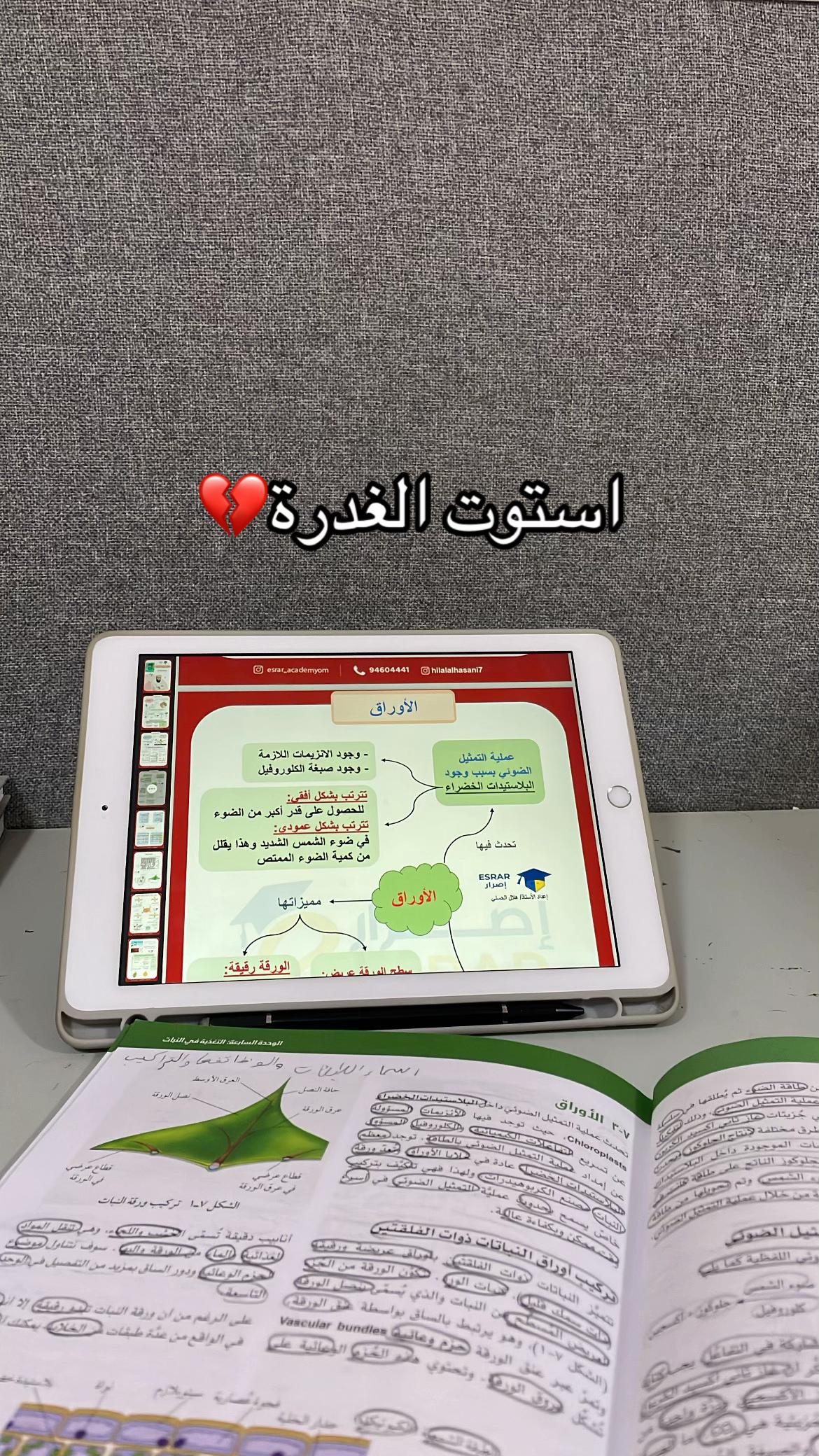 @فرزدق👹.