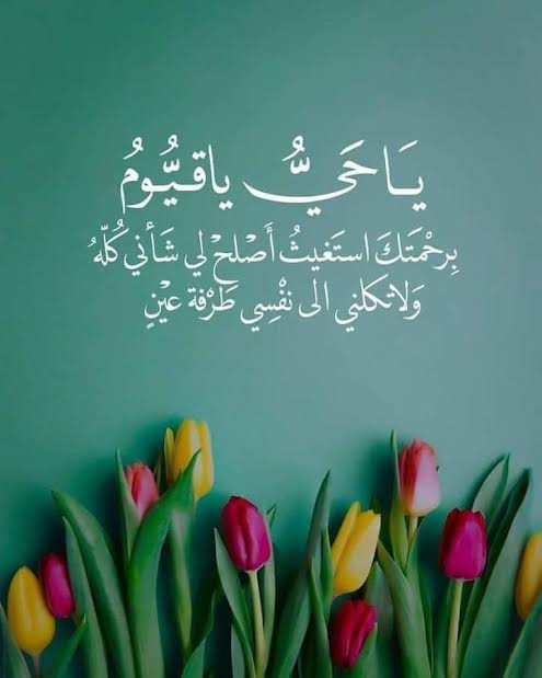 @❤️ملكة بحجابي ❤️