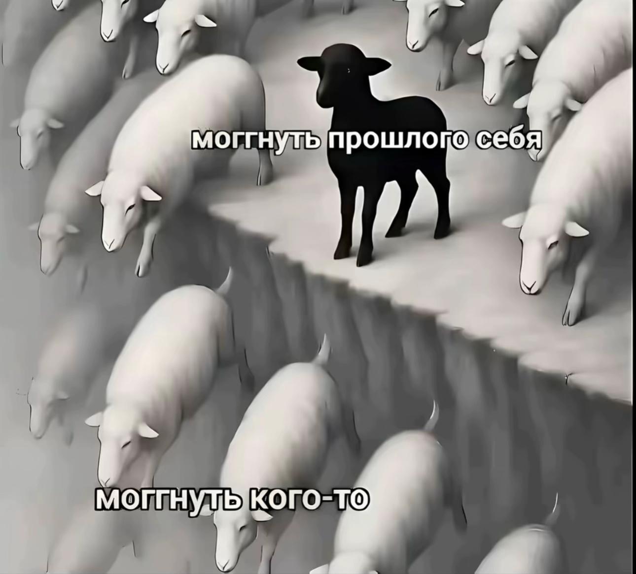 @Валерикоо
