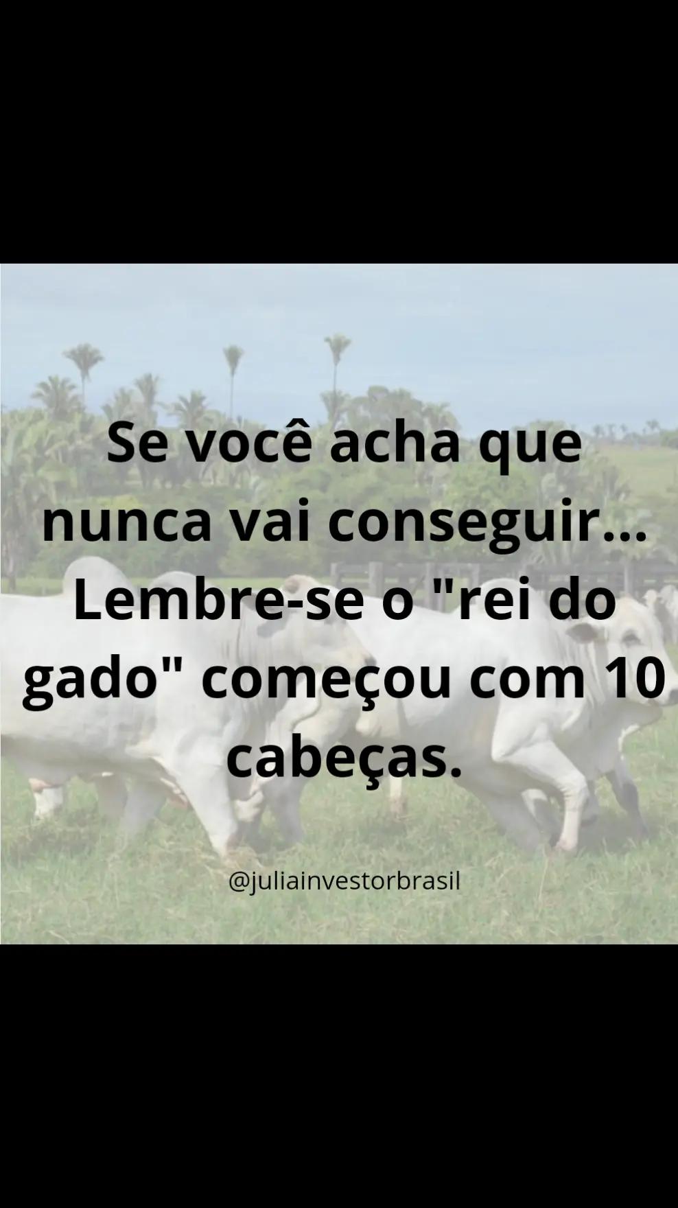 @Juliainvestorbr