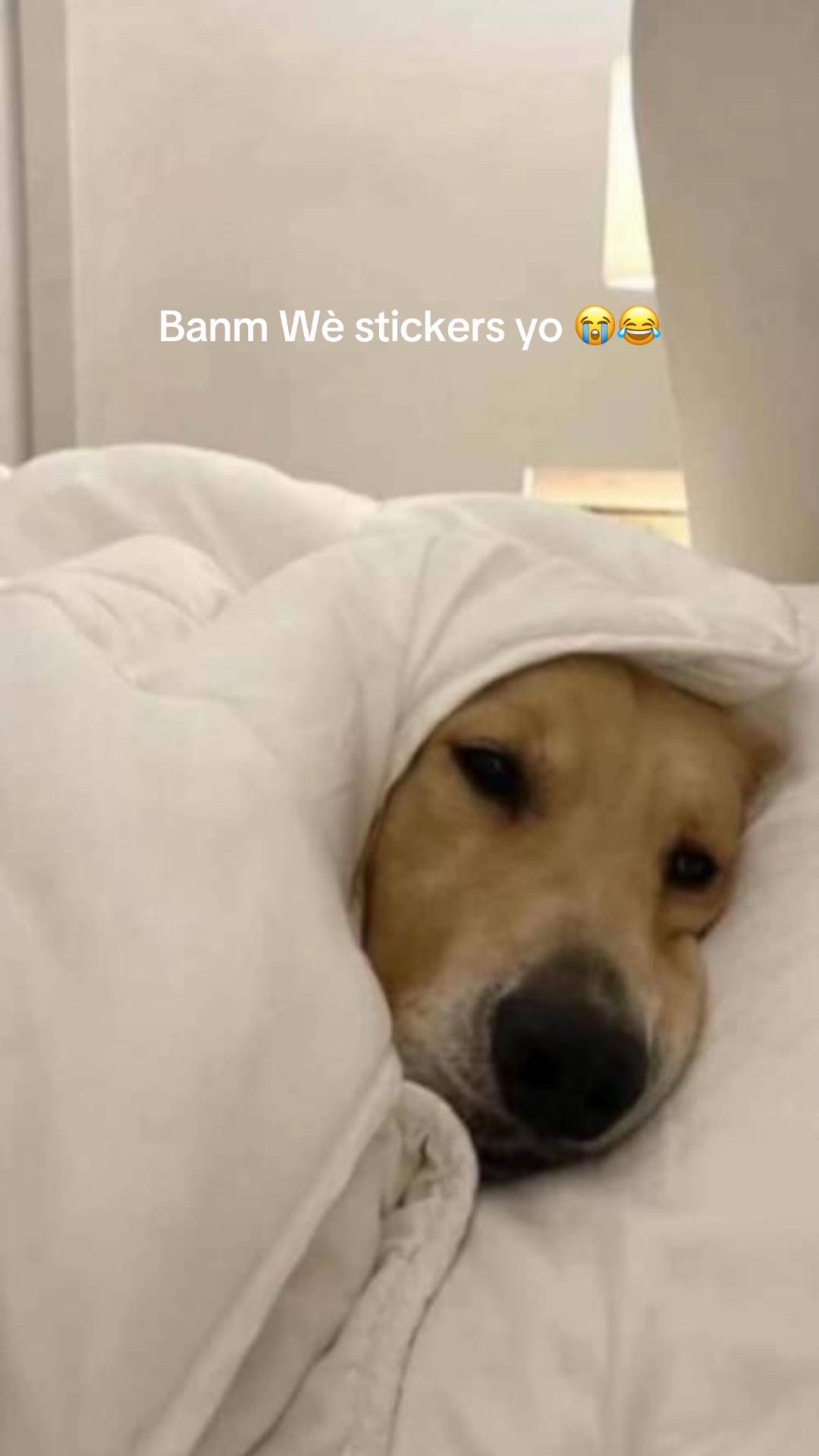@S̡̢̡̢h̡̢̡̢k̡̢̡̢y̡̢̡̢📌❤️🔥⚽️
