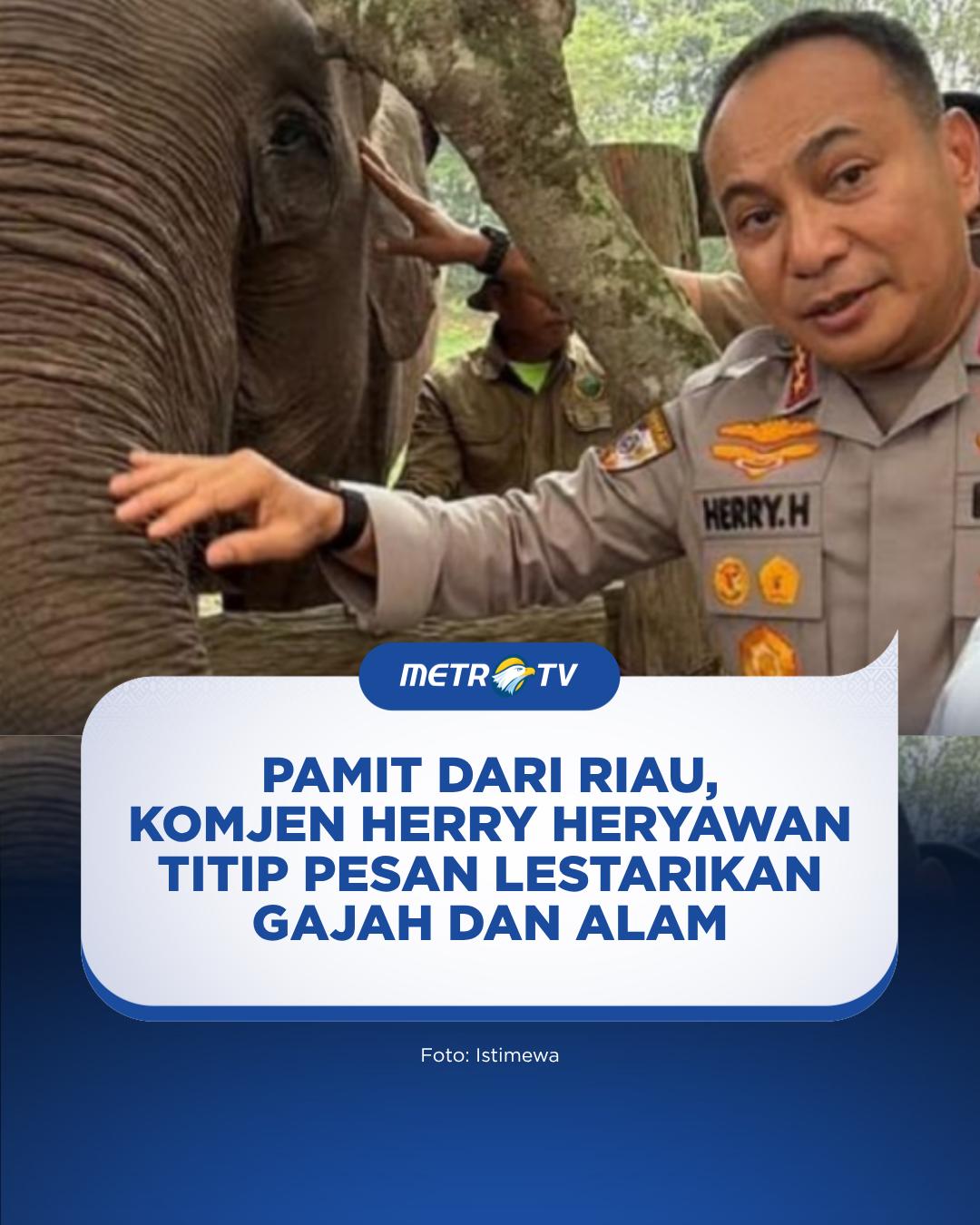 @Metro TV
