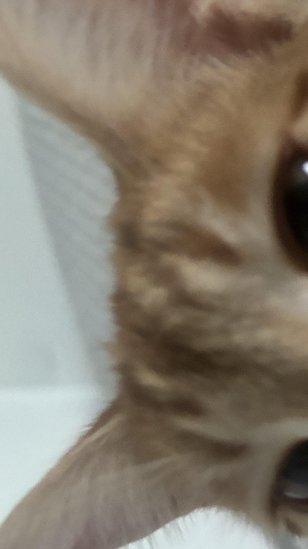 @爱