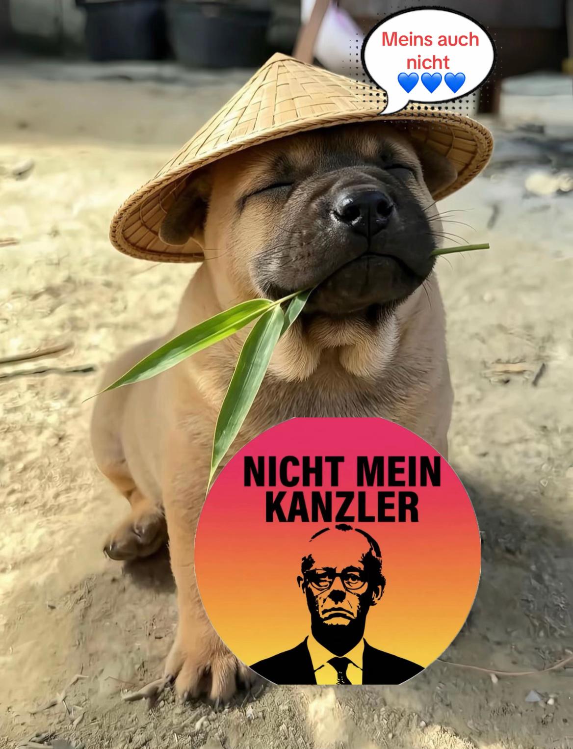 @Bin-frei