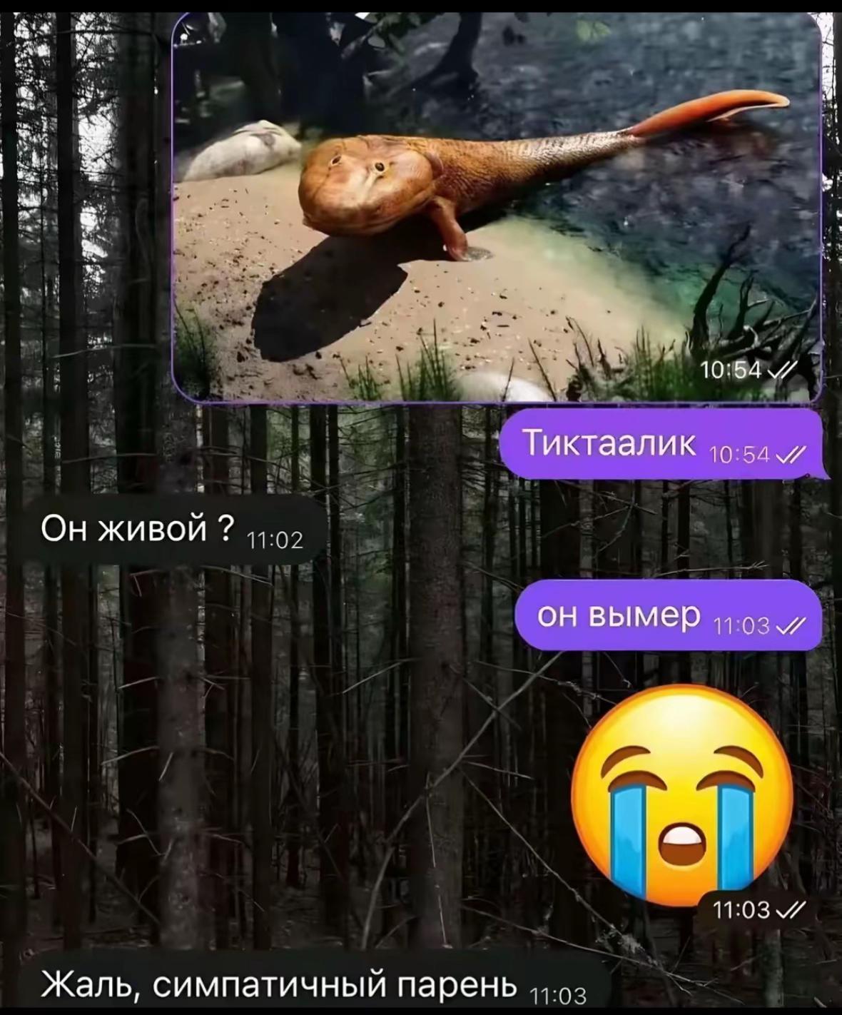 @Спорт болид Литвина