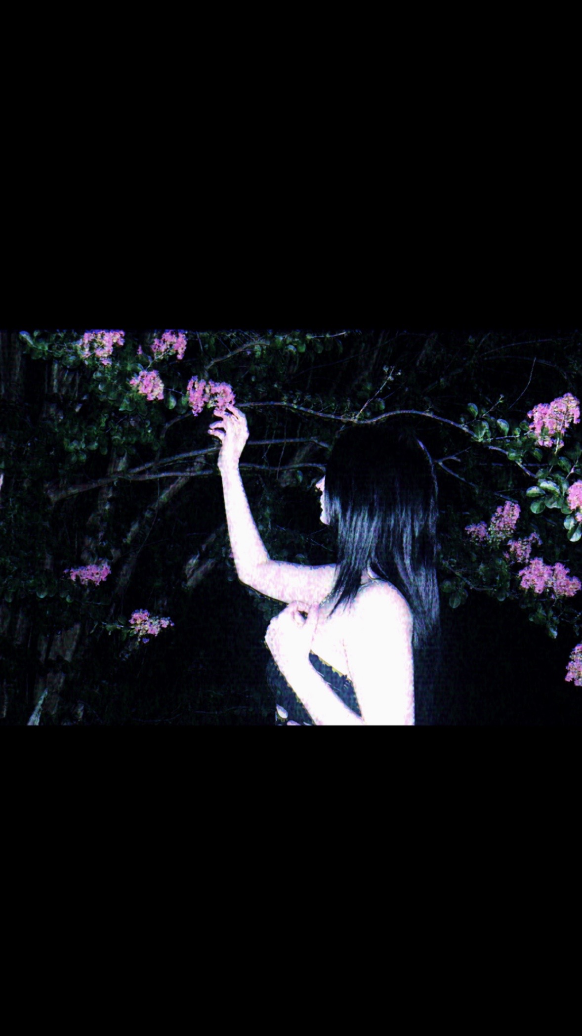 @𝔅𝔯𝔶𝔩𝔢𝔢.𖣂