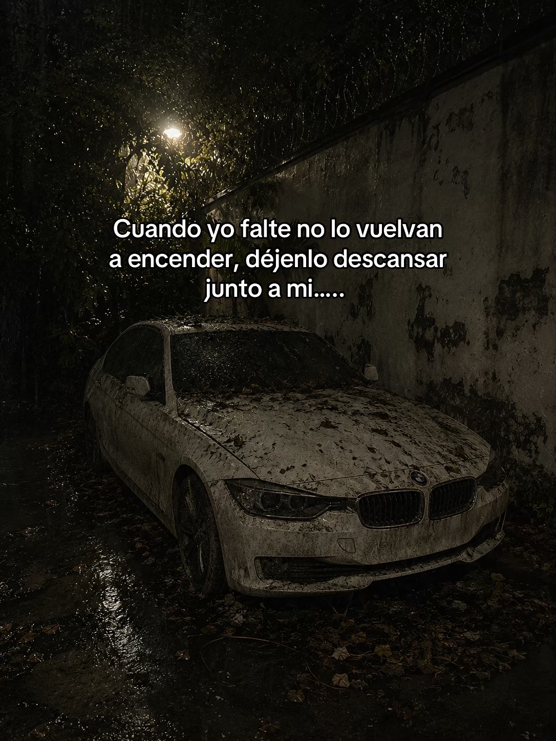 @Gael gómez