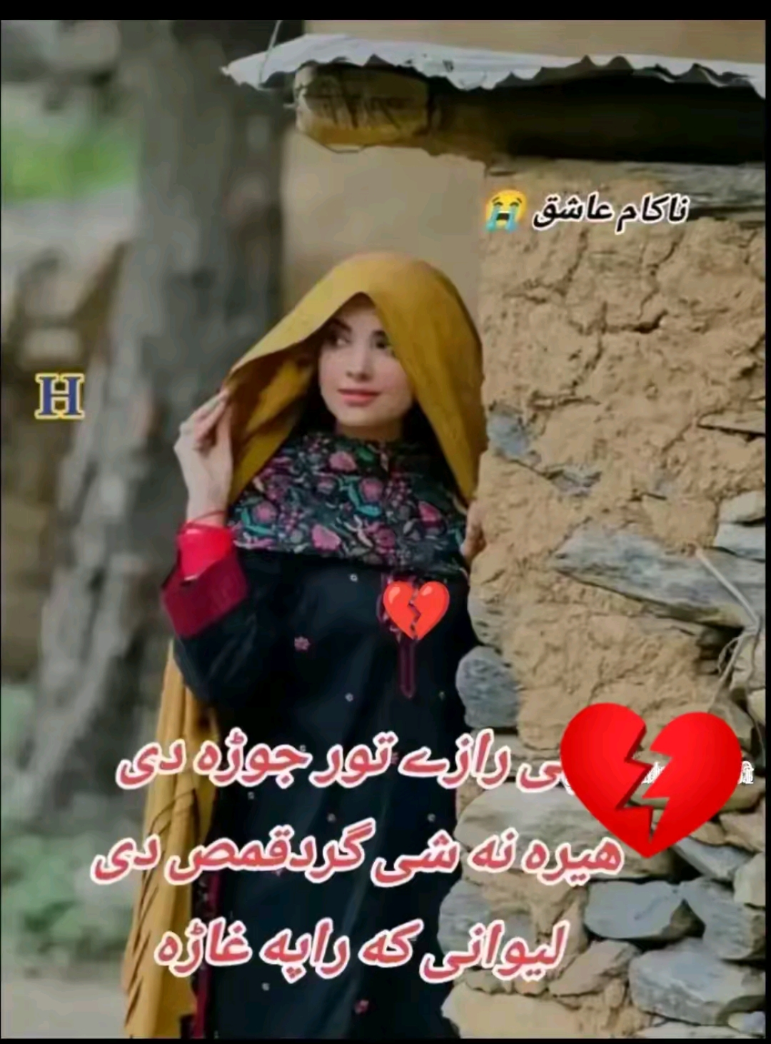 @nish🫵an 🥺Ali😶🌫️313