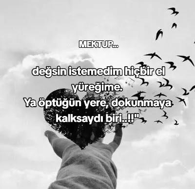@🇹🇷 Zeynep 🇹🇷