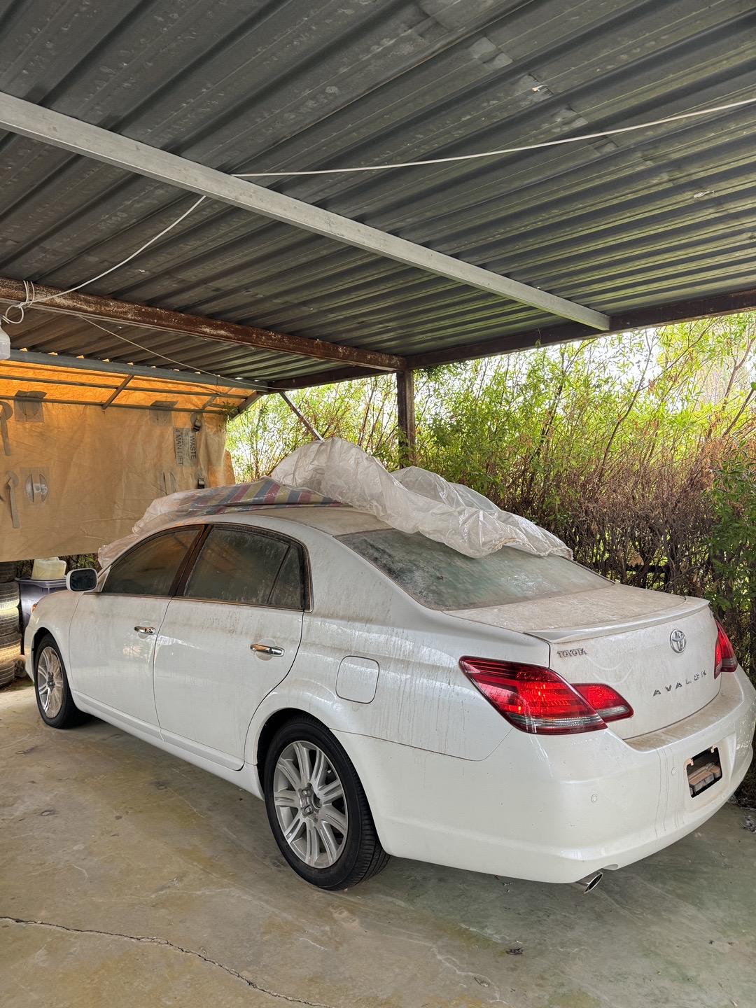 @Pasha Cars