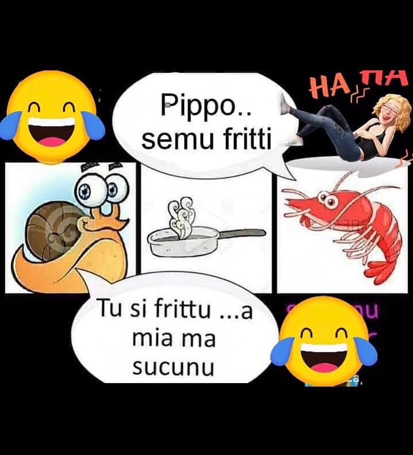 @Francafusaro05