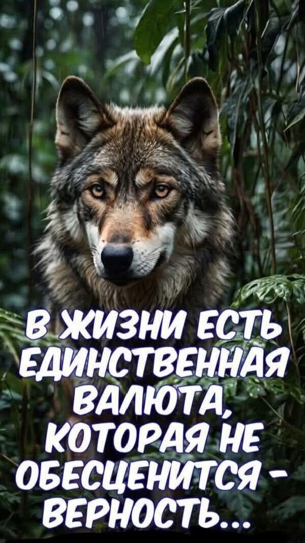 @Anna