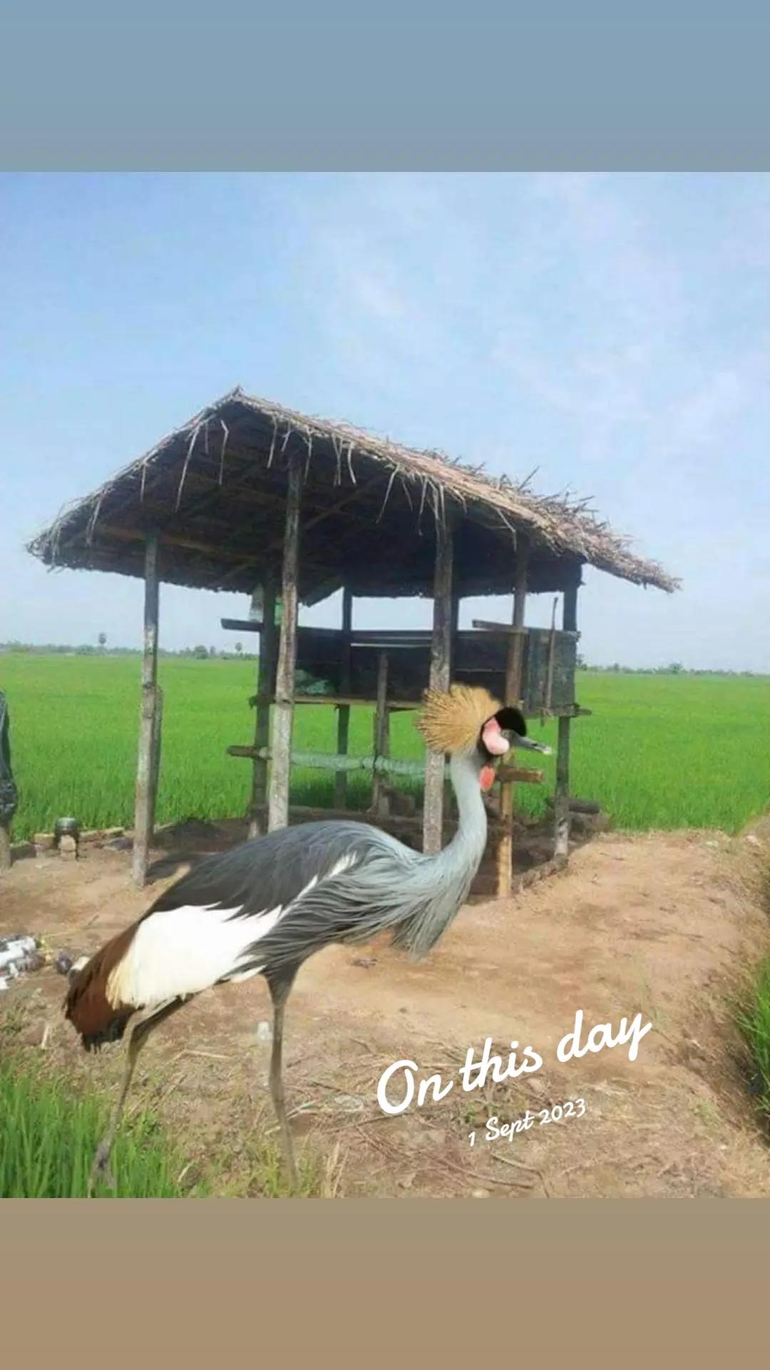 @💍🎆வானவில் 🏆ஏழு 🎆வண்ணம்💍