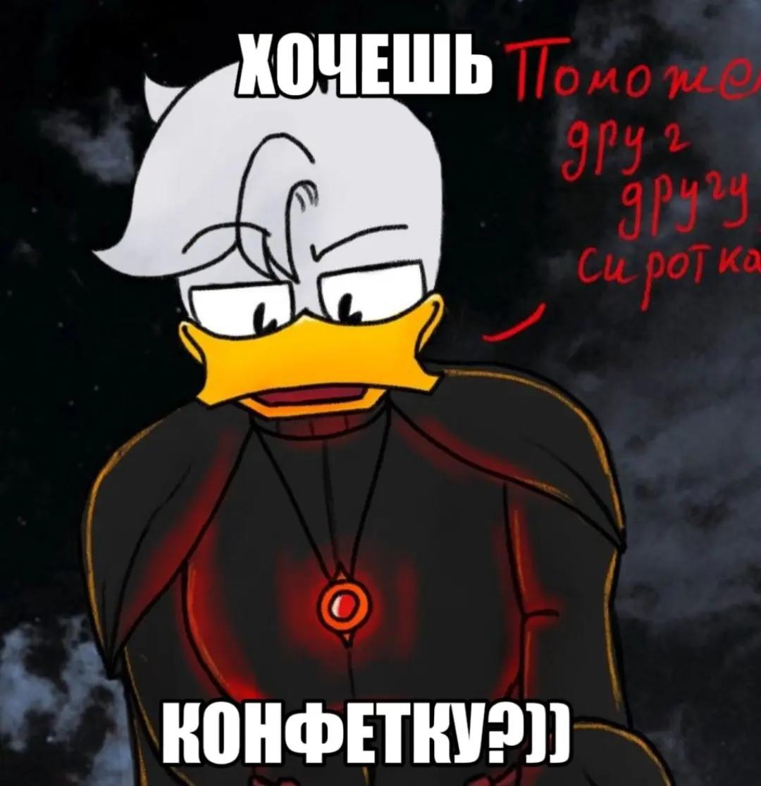 @Foxys-world
