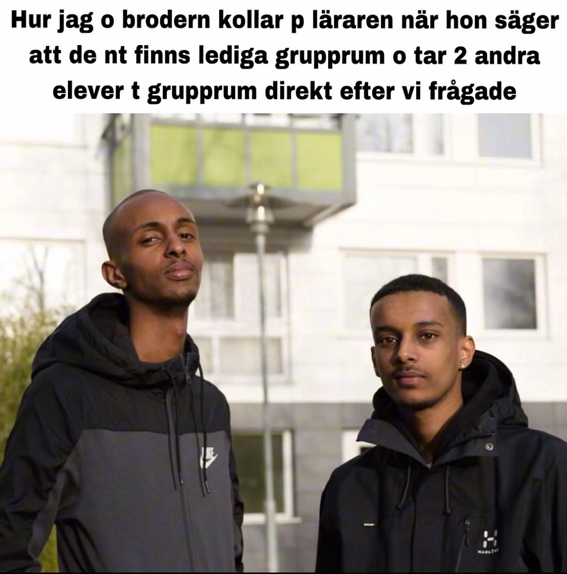 @swedentiktok.se