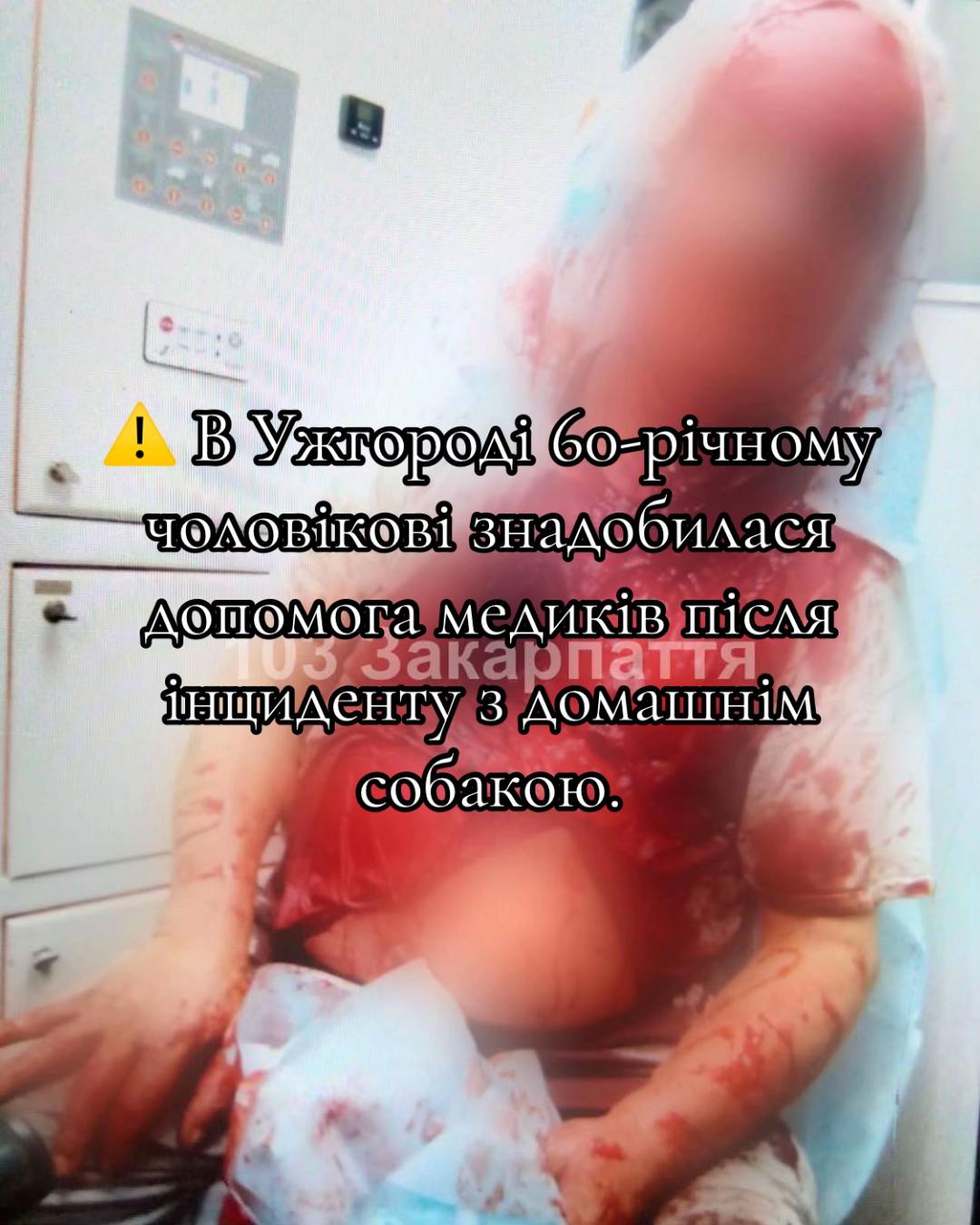 @🐻 Закарпаття Пойме | Новини