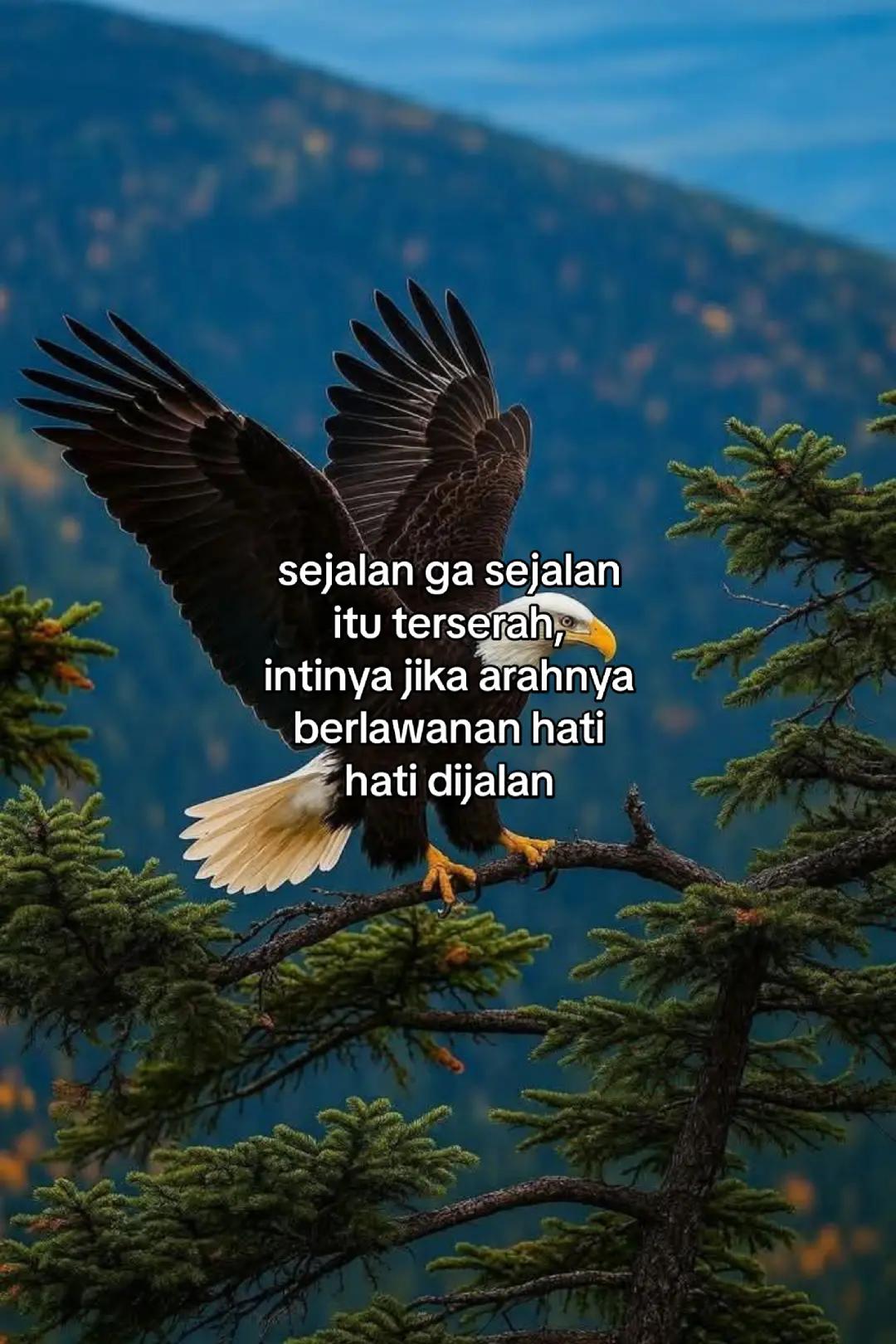@wisnu23